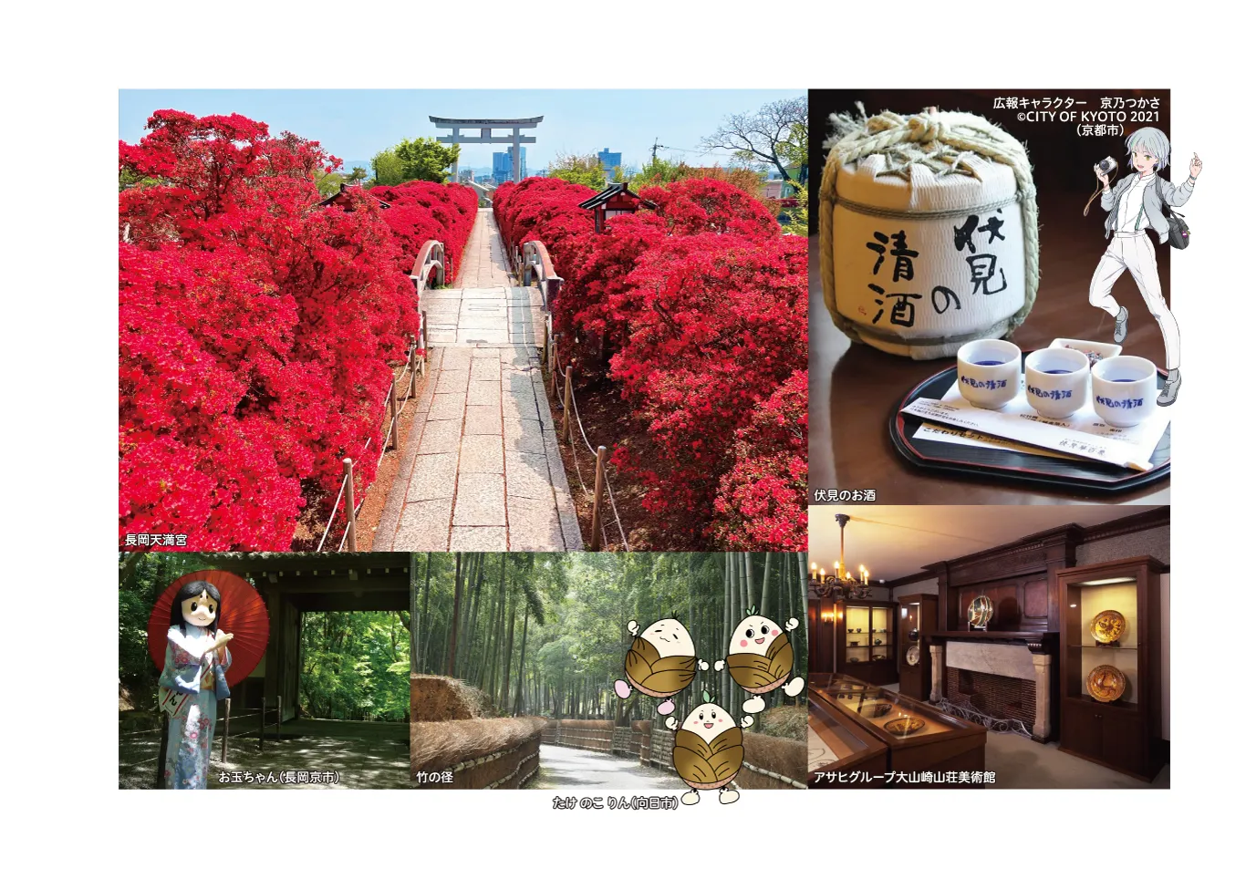 春夏秋冬ゆるっとホンマのきょうと巡り　4月　旅行　スポット写真