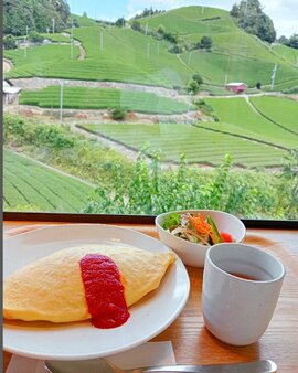 スクリーンショット_14-5-2025_154152_www.instagram.com.jpeg