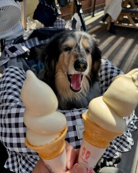 まだらさん (2).jpg