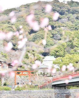 もえたび (2).jpg